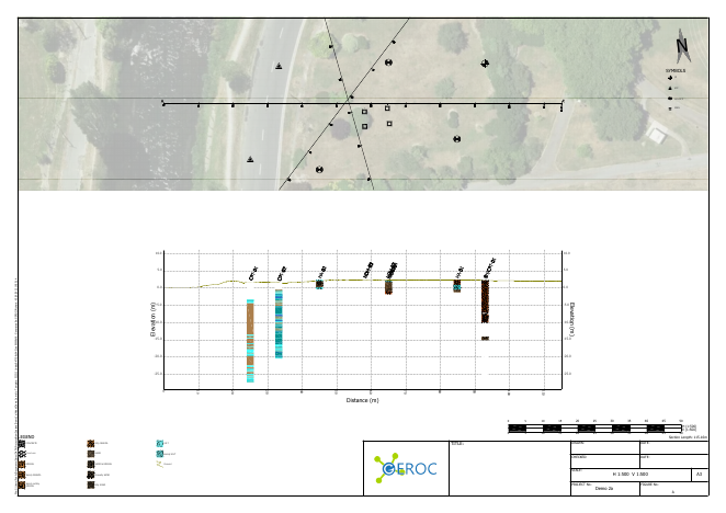 Section - Standard Version example report